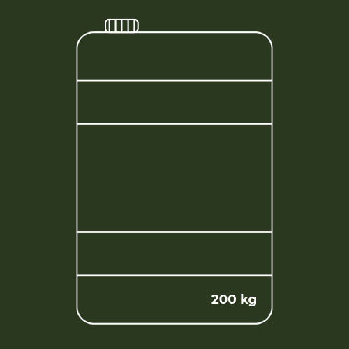 TAGETE - MARIGOLD HE0154
