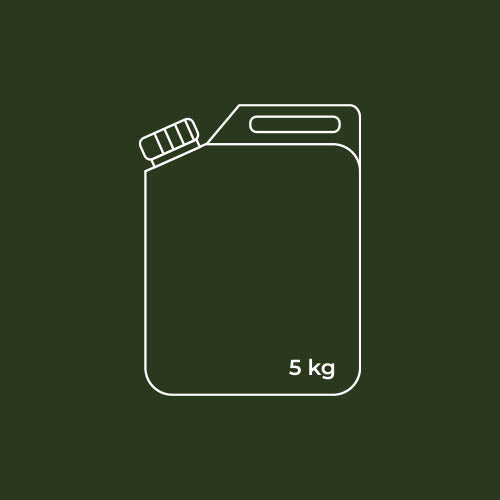 TAGETE - MARIGOLD HE0154